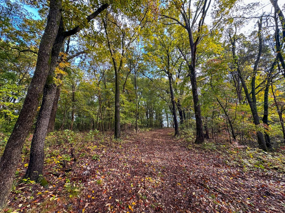 Deer Creek Legacy Farm