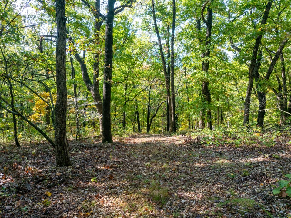 Deer Creek Legacy Farm