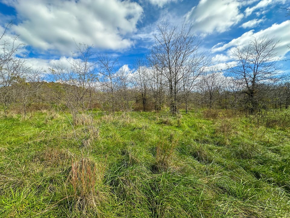 Deer Creek Legacy Farm