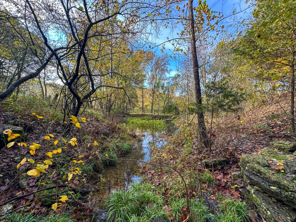 Deer Creek Legacy Farm