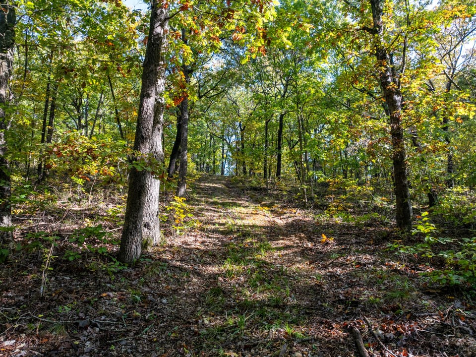 Deer Creek Legacy Farm