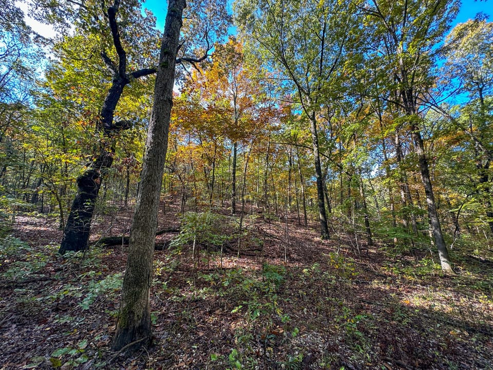 Deer Creek Legacy Farm