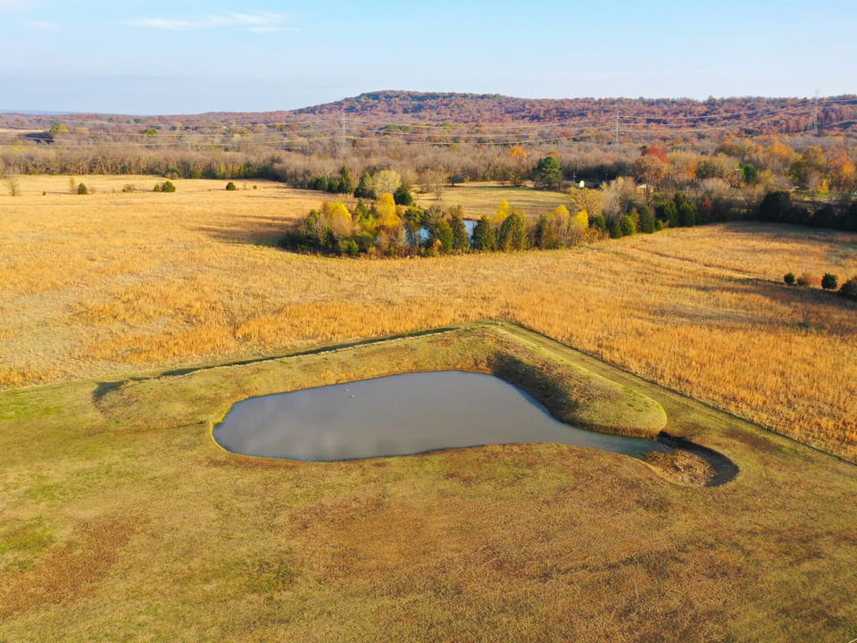 Country Home with Pond