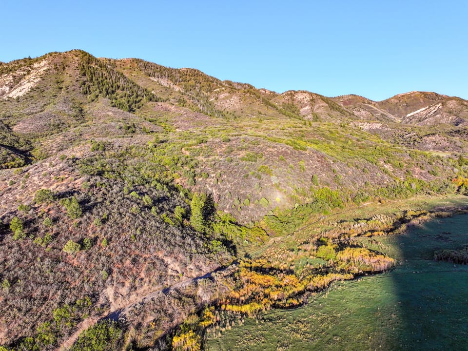 Dji Fly 20261001 085410 0115 1790952689609 Photo