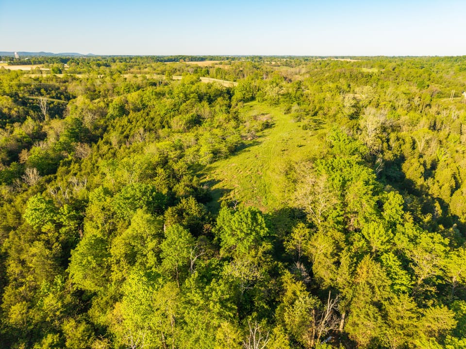 Dji 20260508081732 0047 D