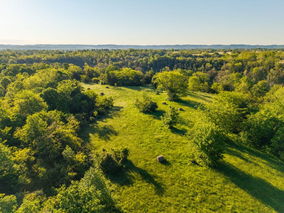 Dji 20260508080825 0027 D
