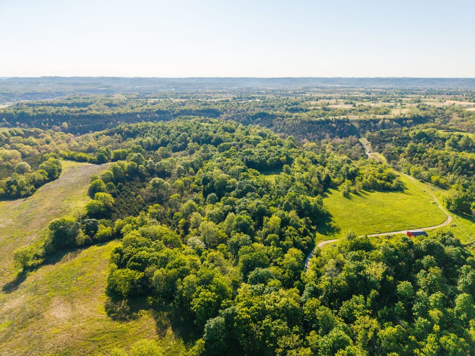 Dji 20260508085203 0105 D
