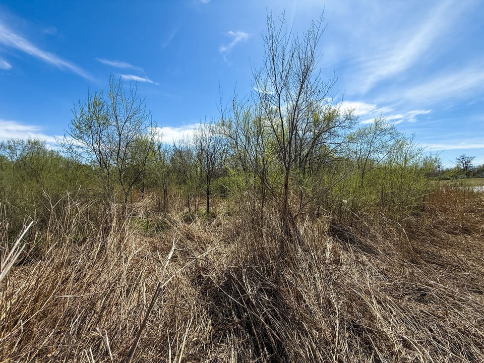 Img 1591