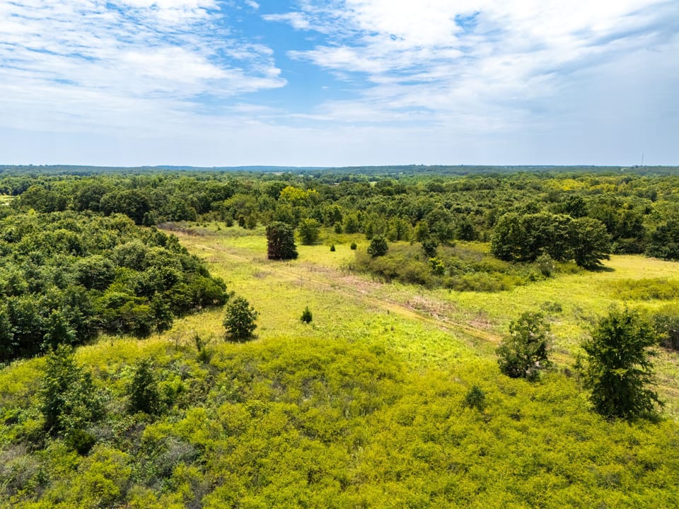 Dji 20250731134826 0313 D
