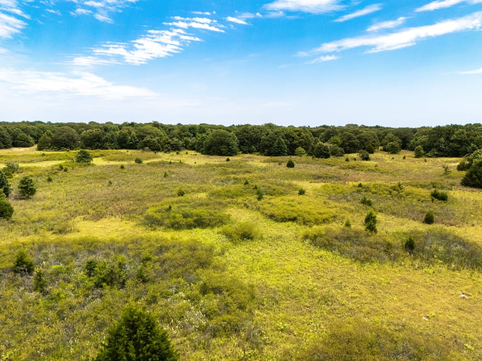 Dji 20250731131032 0294 D