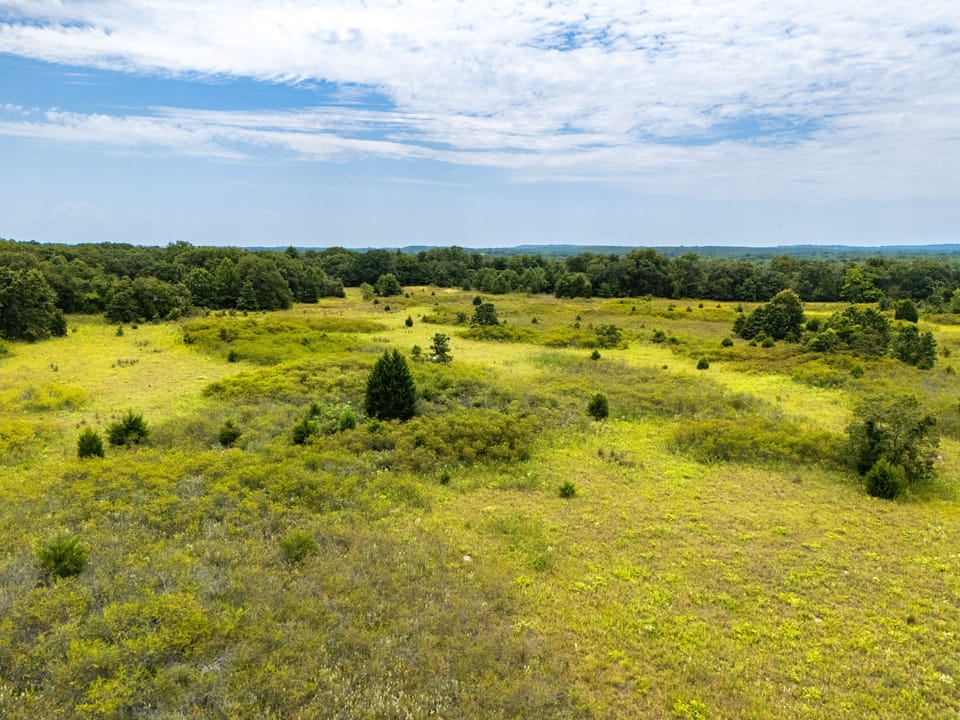 Dji 20250731131430 0296 D