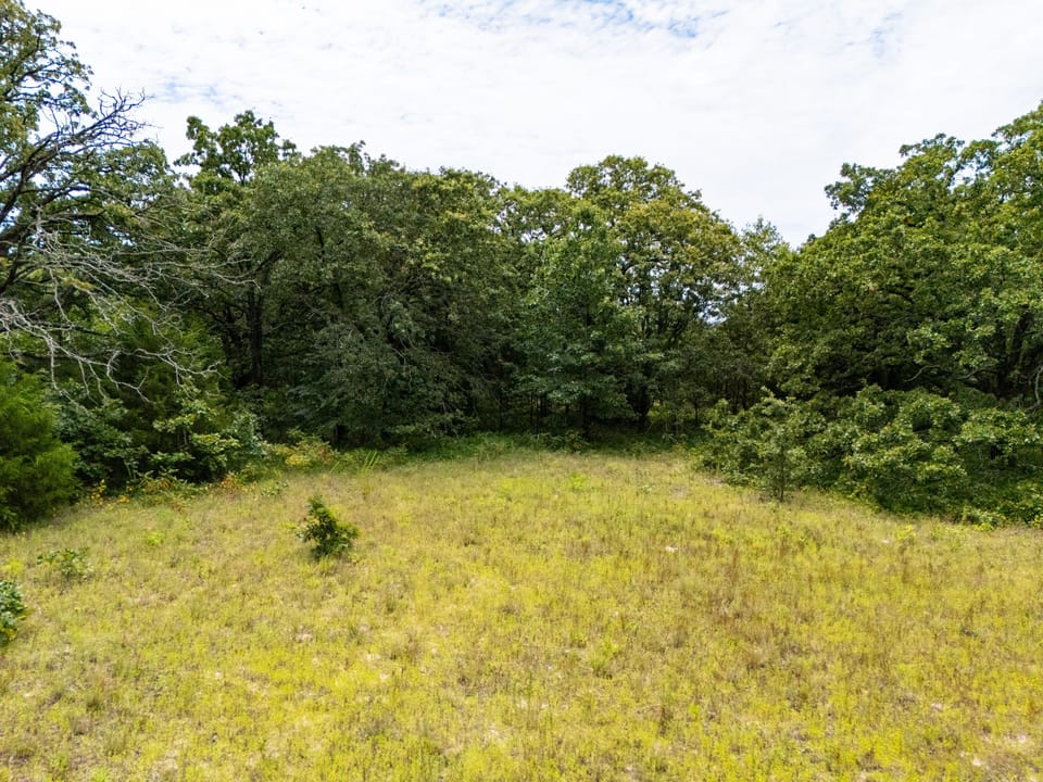 Dji 20250731131547 0299 D