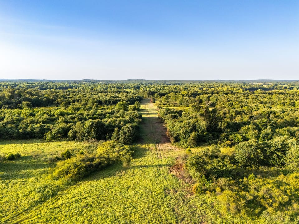 Dji 20250731074737 0108 D