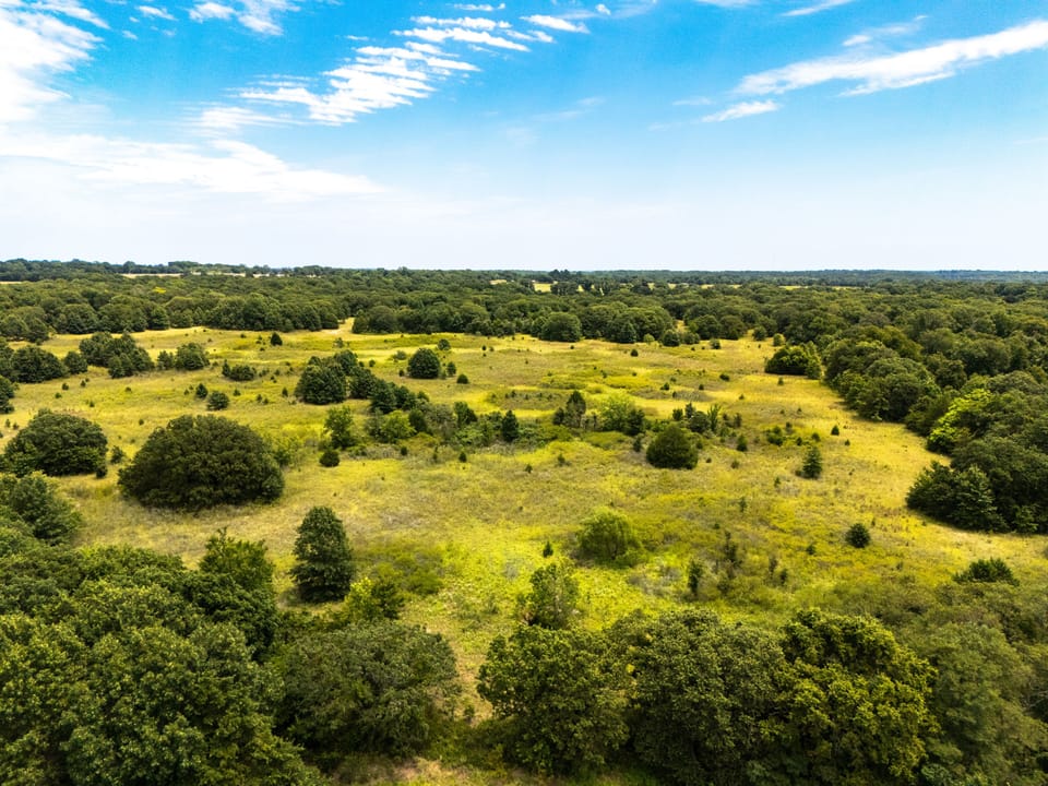 Dji 20250731130932 0292 D