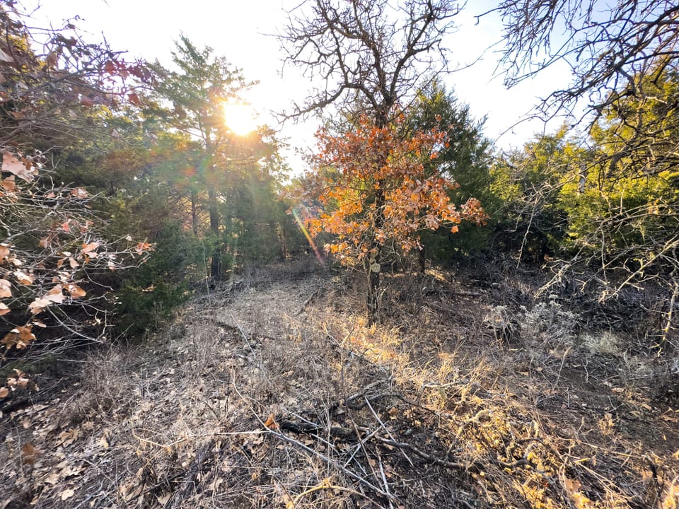 Sandy Cedar Hunting Farm