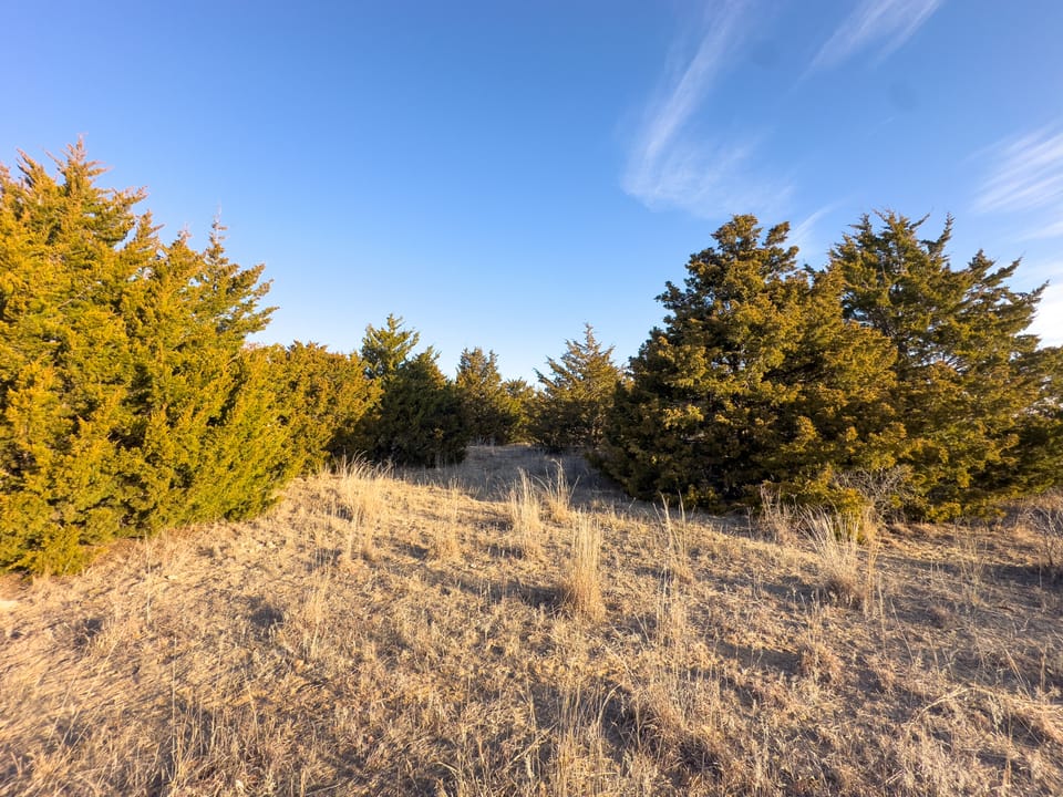 The Cedar Flat Hunting Farm