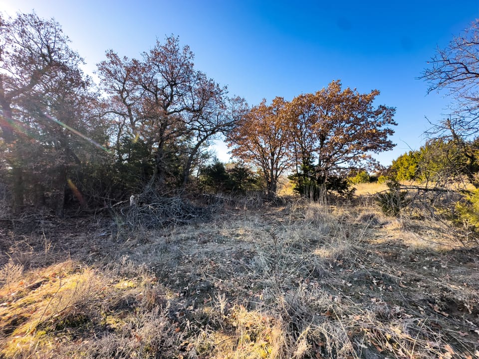 Sandy Cedar Hunting Farm
