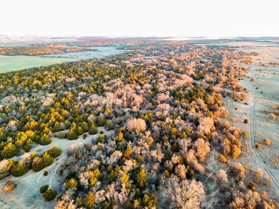 The Cedar Flat Hunting Farm