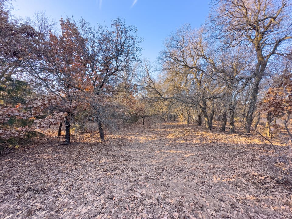 The Cedar Flat Hunting Farm