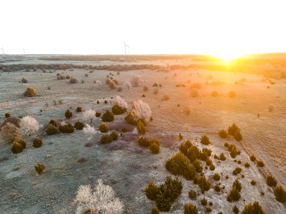 The Cedar Flat Hunting Farm