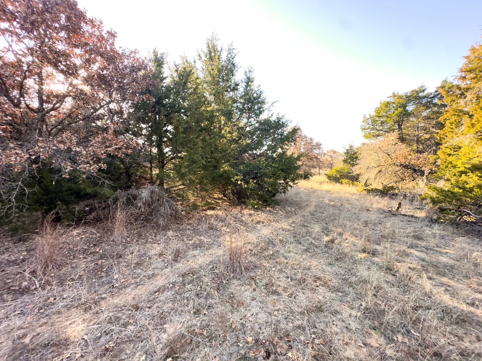 Sandy Cedar Hunting Farm