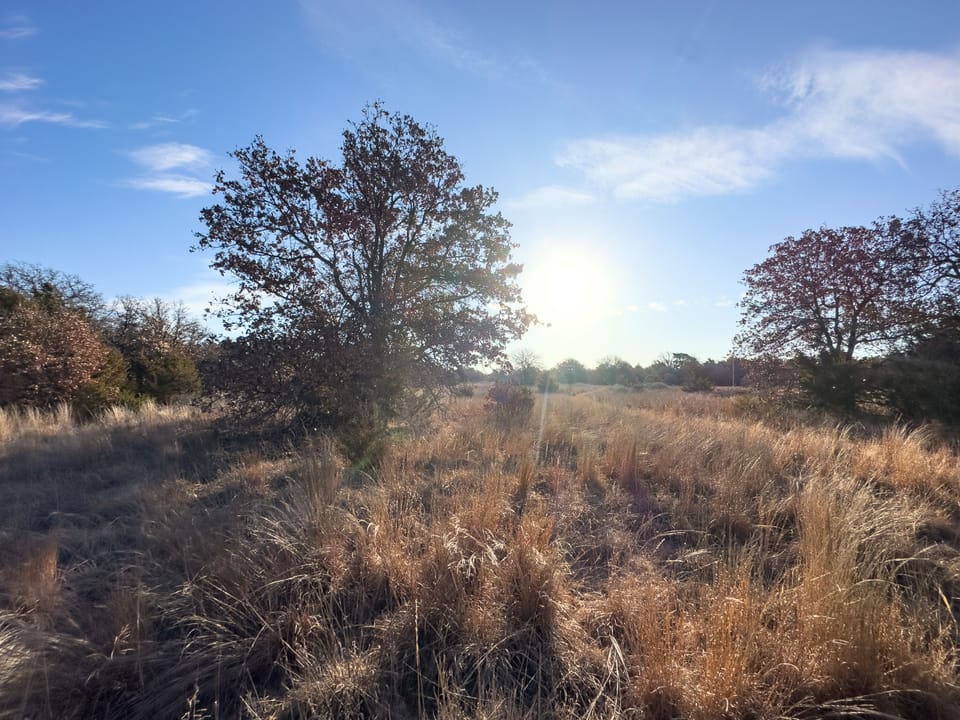 Sandy Cedar Hunting Farm