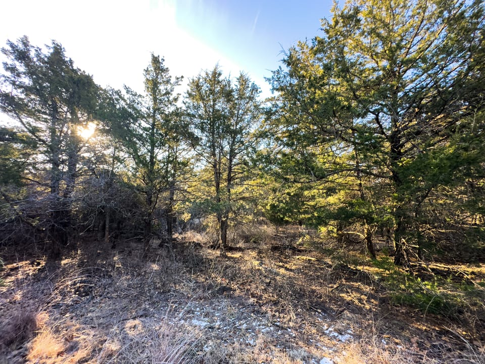 Sandy Cedar Hunting Farm
