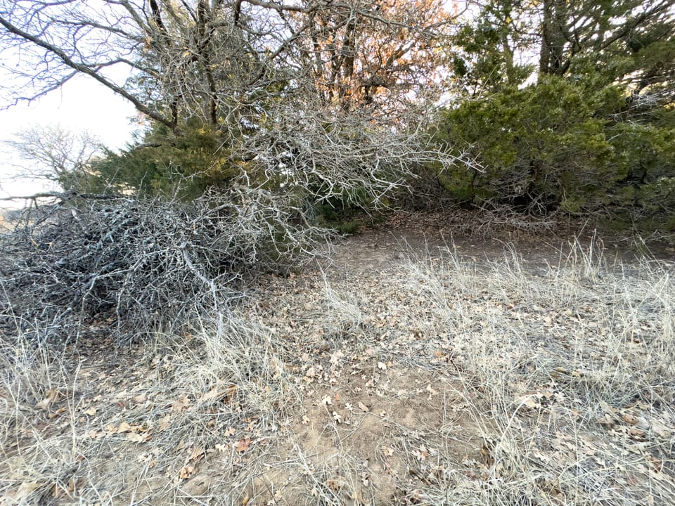 Sandy Cedar Hunting Farm