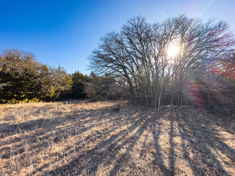 Sandy Cedar Hunting Farm