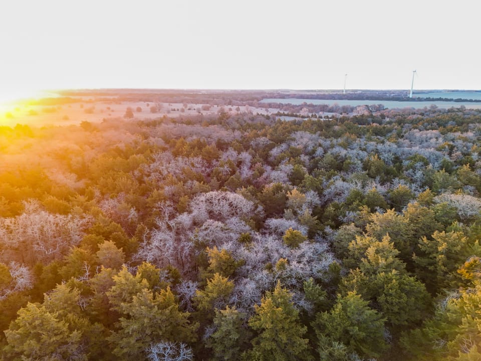 The Cedar Flat Hunting Farm