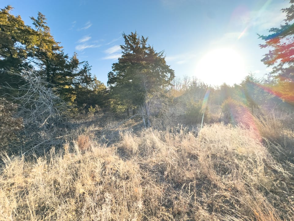 Sandy Cedar Hunting Farm