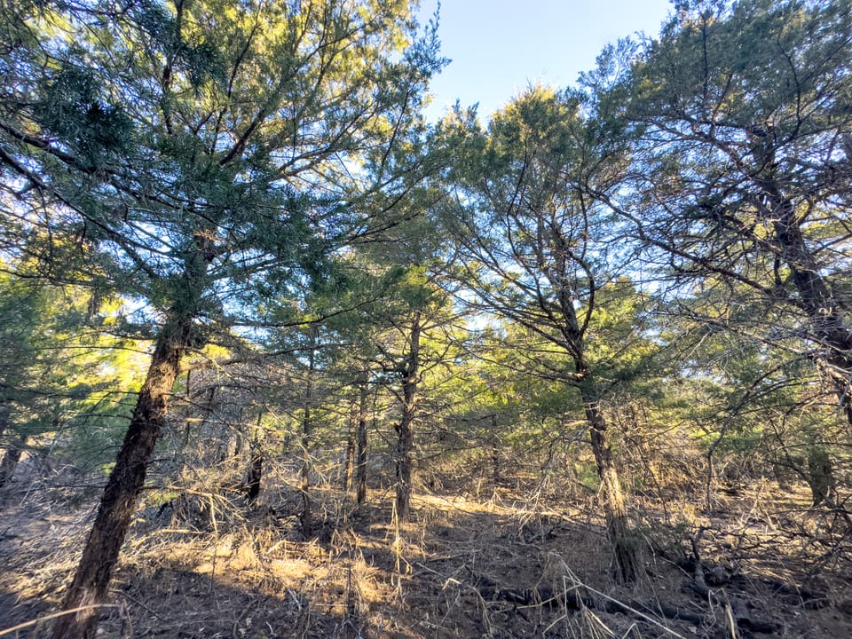 Sandy Cedar Hunting Farm