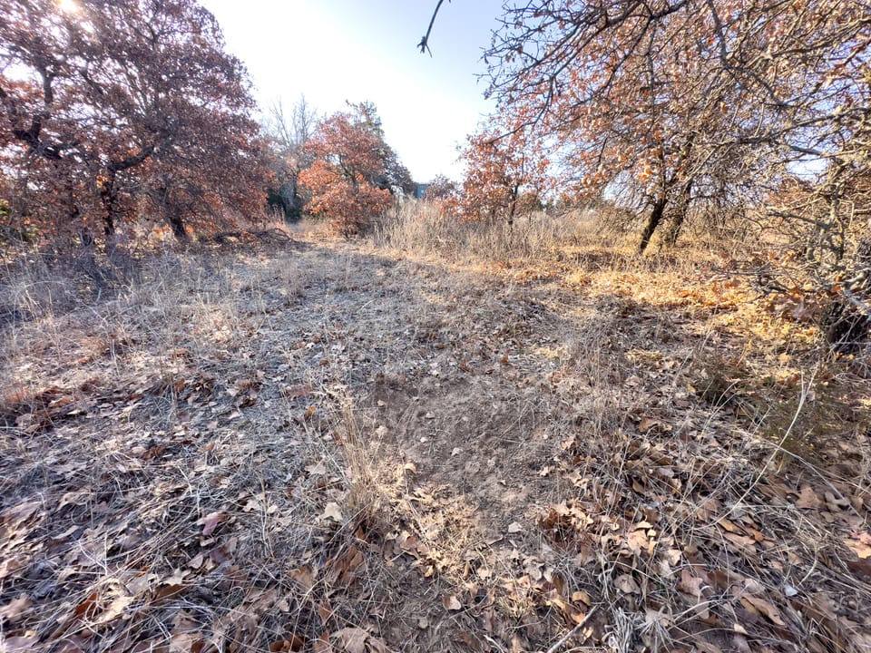 Sandy Cedar Hunting Farm
