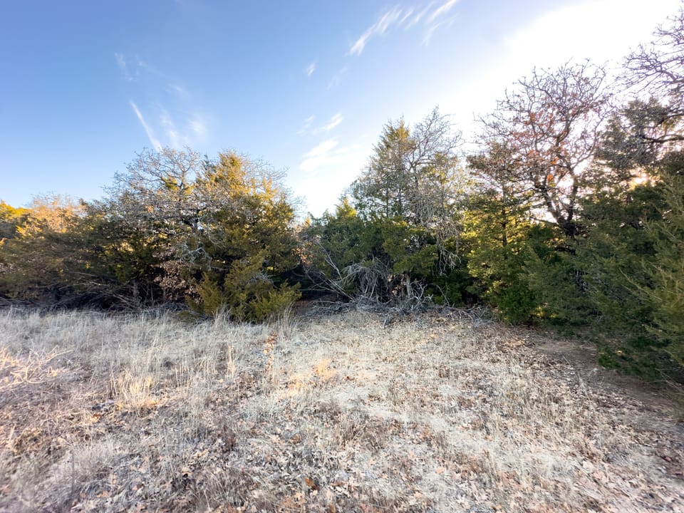 Sandy Cedar Hunting Farm