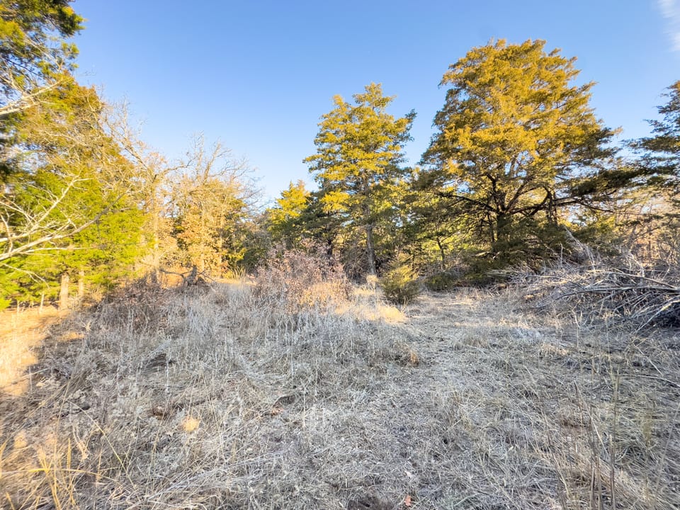 Sandy Cedar Hunting Farm