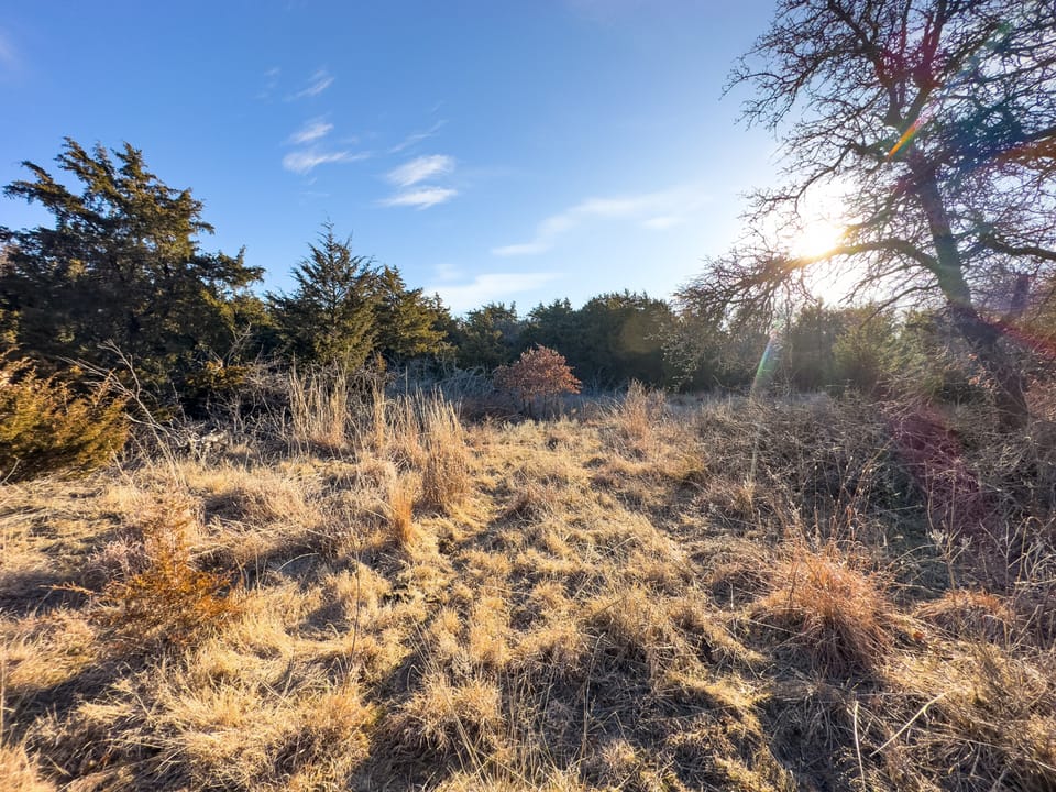 Sandy Cedar Hunting Farm