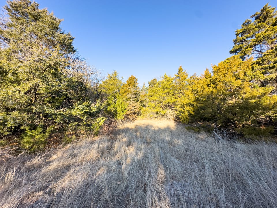 Sandy Cedar Hunting Farm