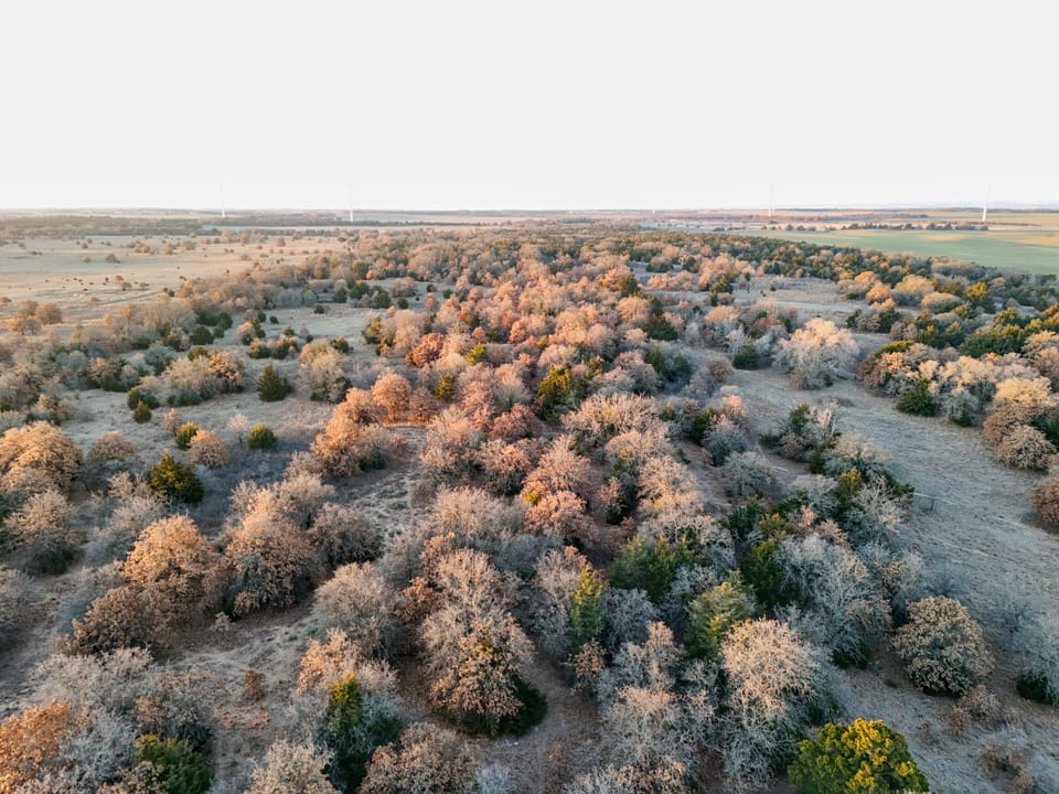 The Cedar Flat Hunting Farm
