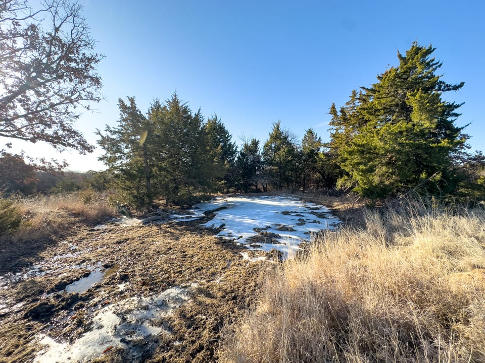 Sandy Cedar Hunting Farm