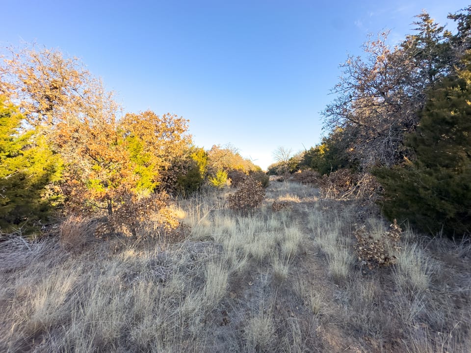 Sandy Cedar Hunting Farm