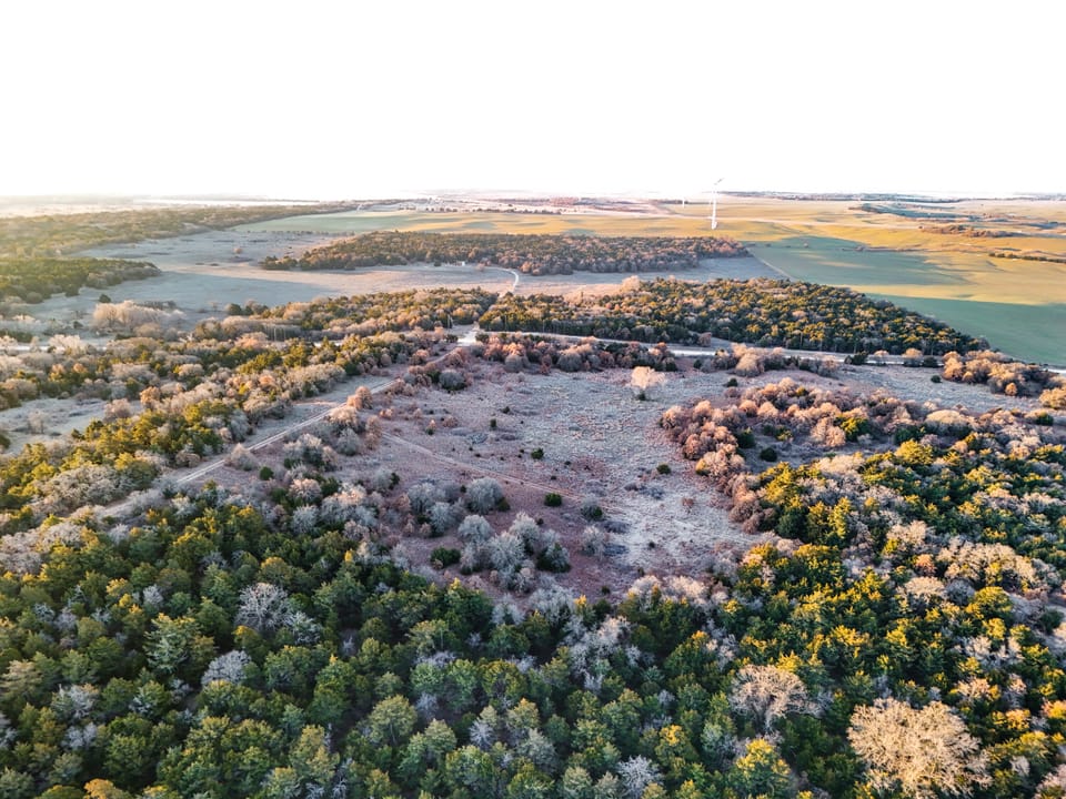 Sandy Cedar Hunting Farm
