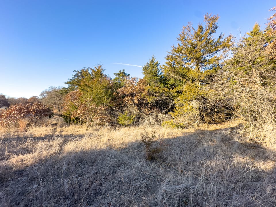 Sandy Cedar Hunting Farm