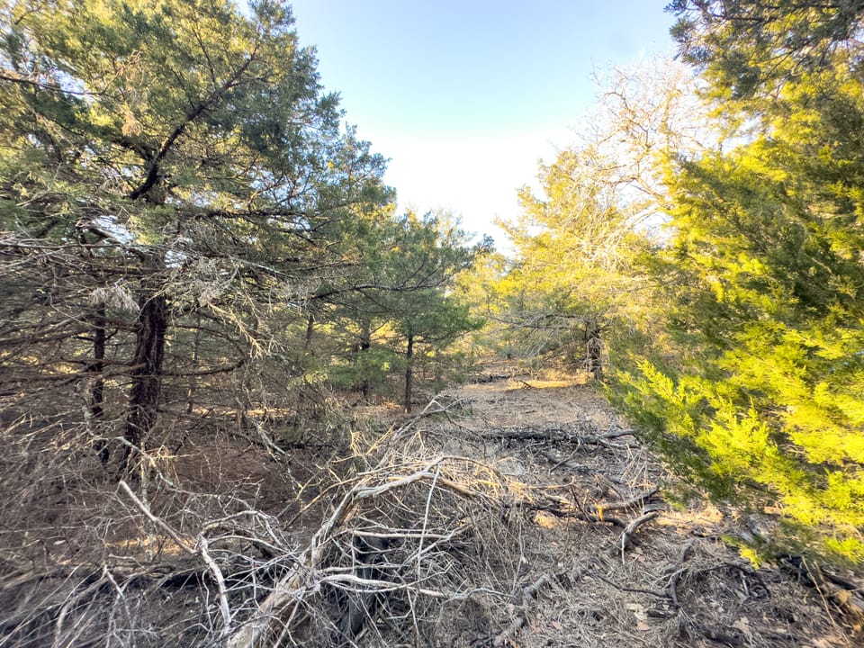 Sandy Cedar Hunting Farm