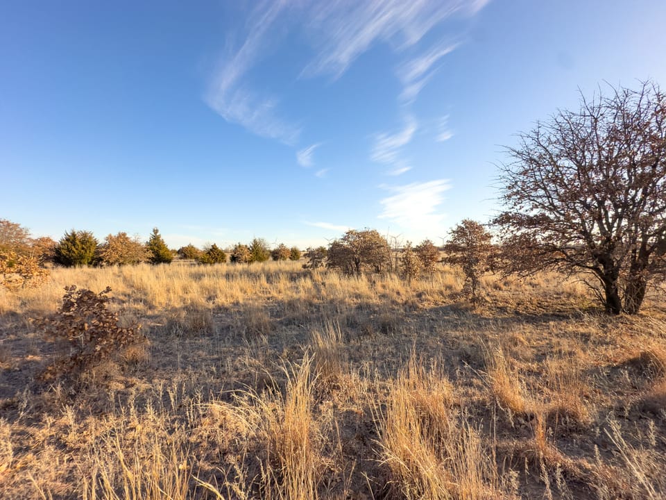 The Cedar Flat Hunting Farm