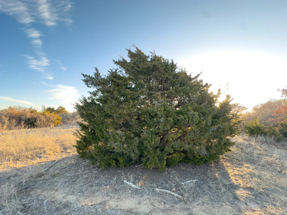 The Cedar Flat Hunting Farm