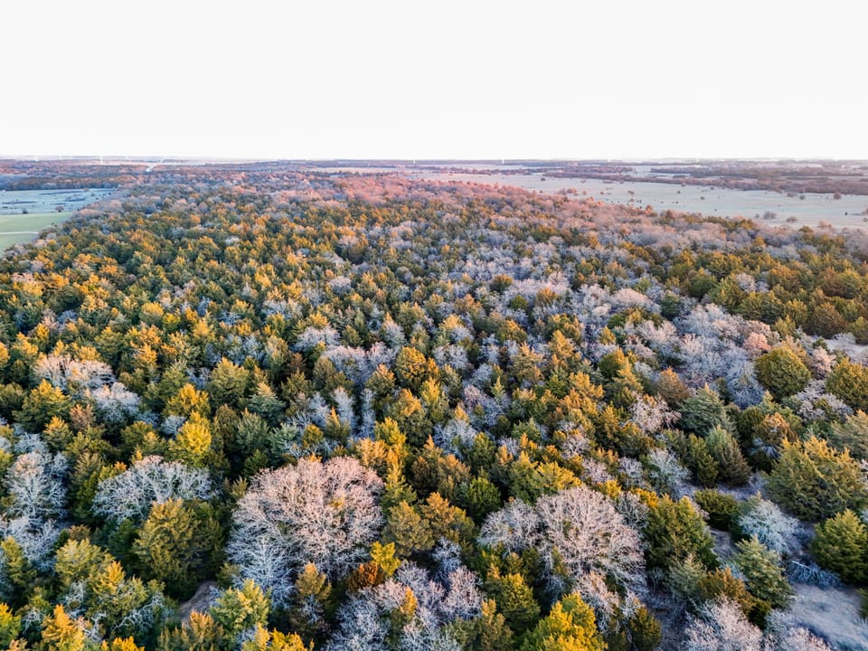 The Cedar Flat Hunting Farm
