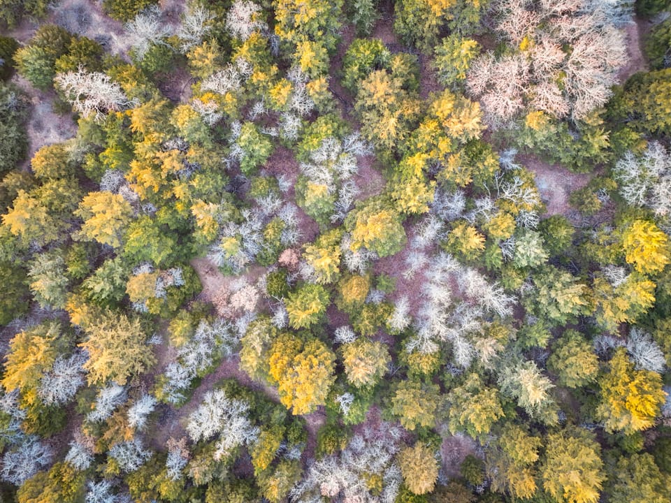 The Cedar Flat Hunting Farm