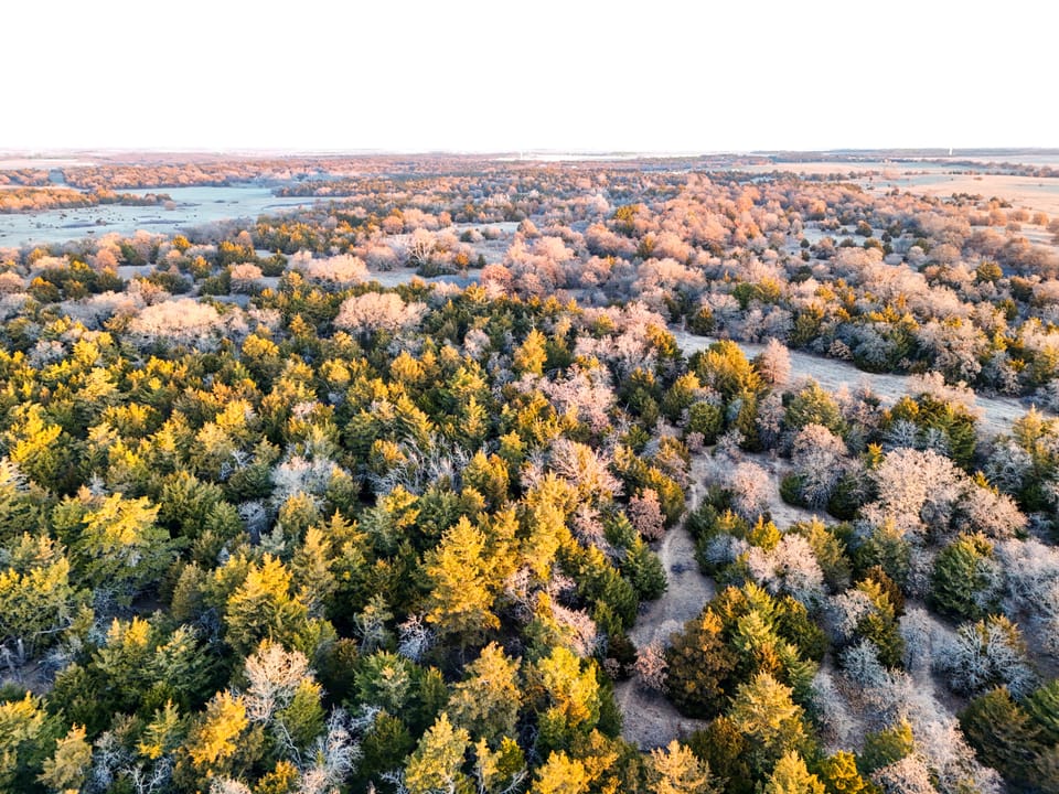 The Cedar Flat Hunting Farm