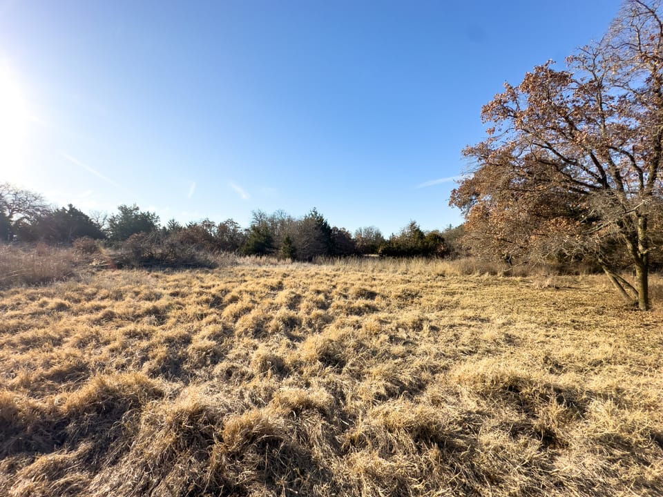 Sandy Cedar Hunting Farm