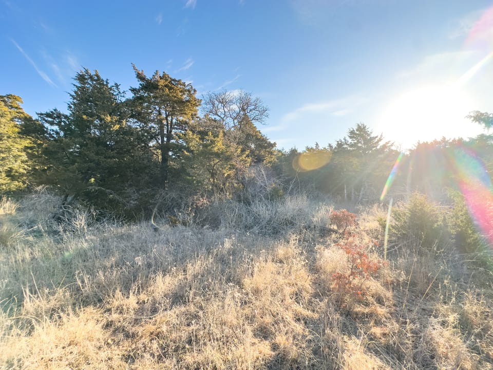 Sandy Cedar Hunting Farm